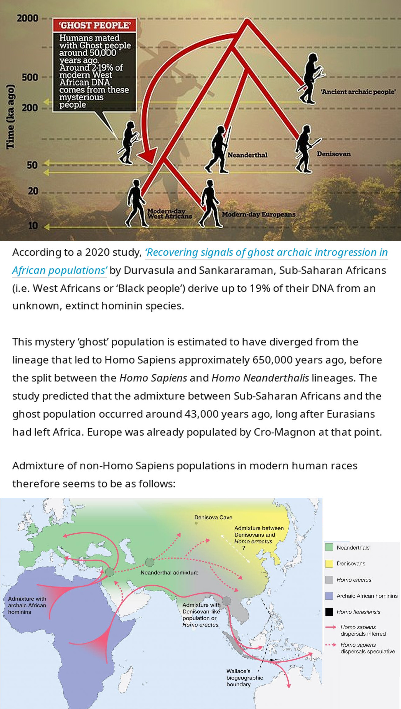 African ghost population.jpg