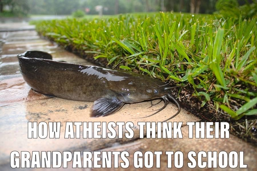 atheist ancestors.jpeg