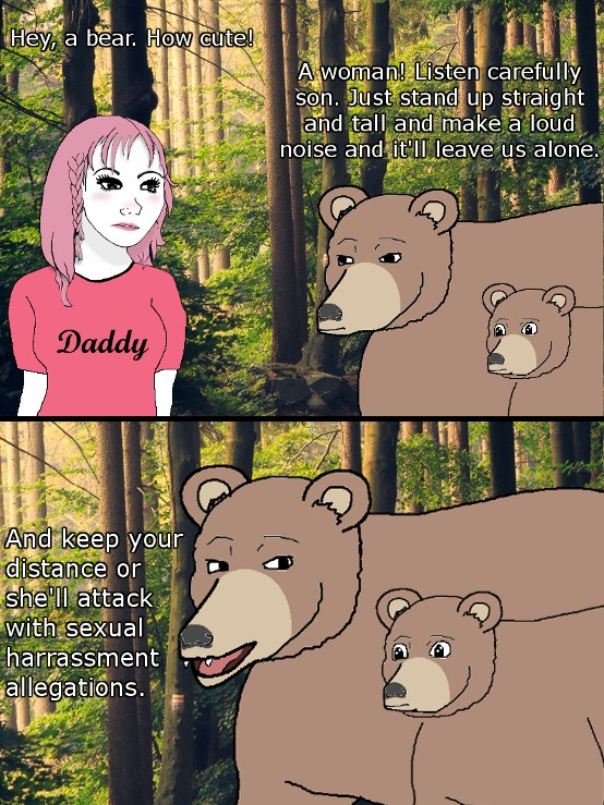 bear - harassment.jpeg