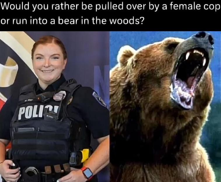 bear vs lady cop.JPG