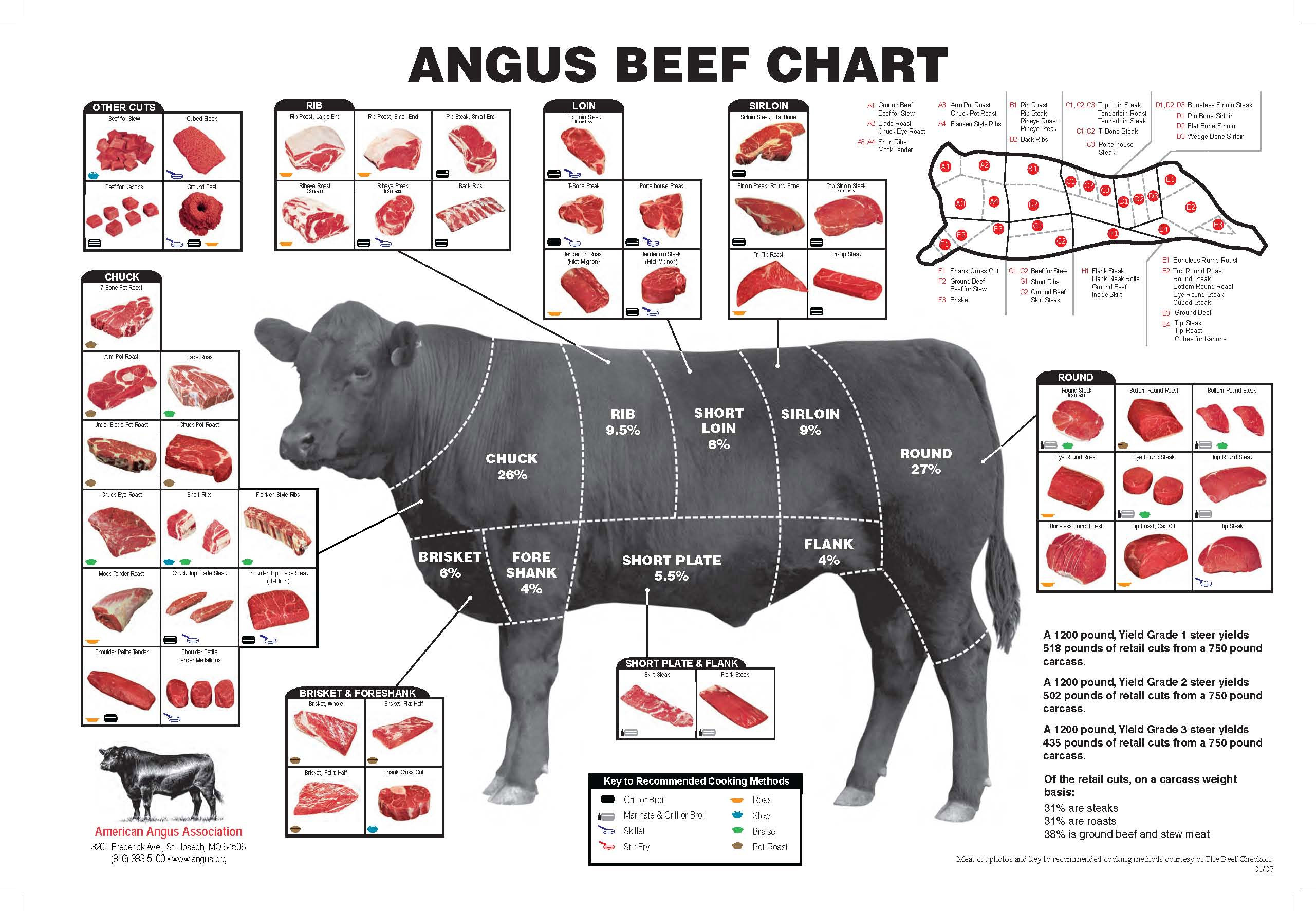 beef-cuts.jpg