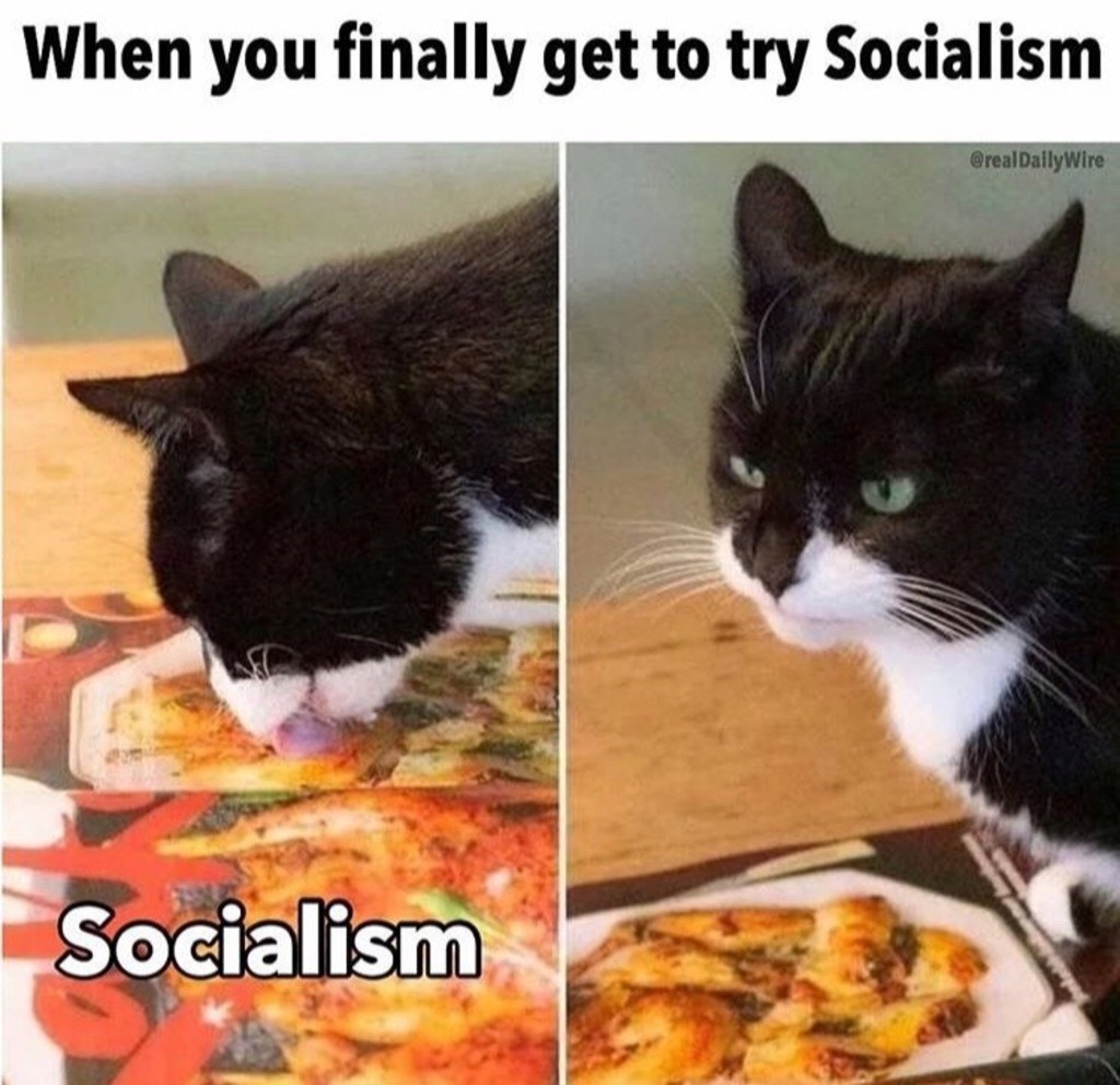 Cat-Socialism.jpg