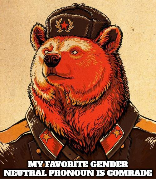 comrade bear.jpg