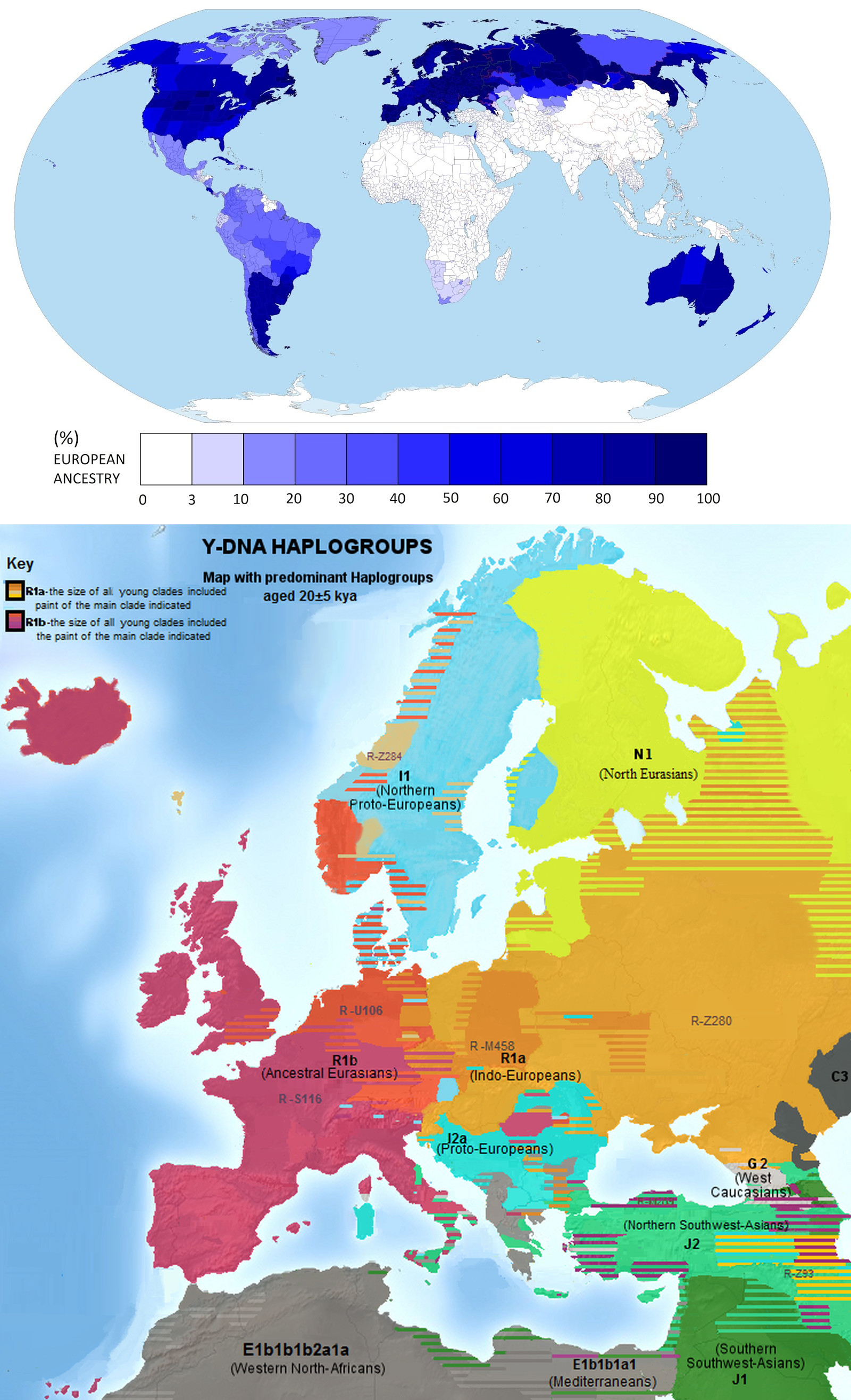 European ancestry & Y-DNA haplogroups.jpg