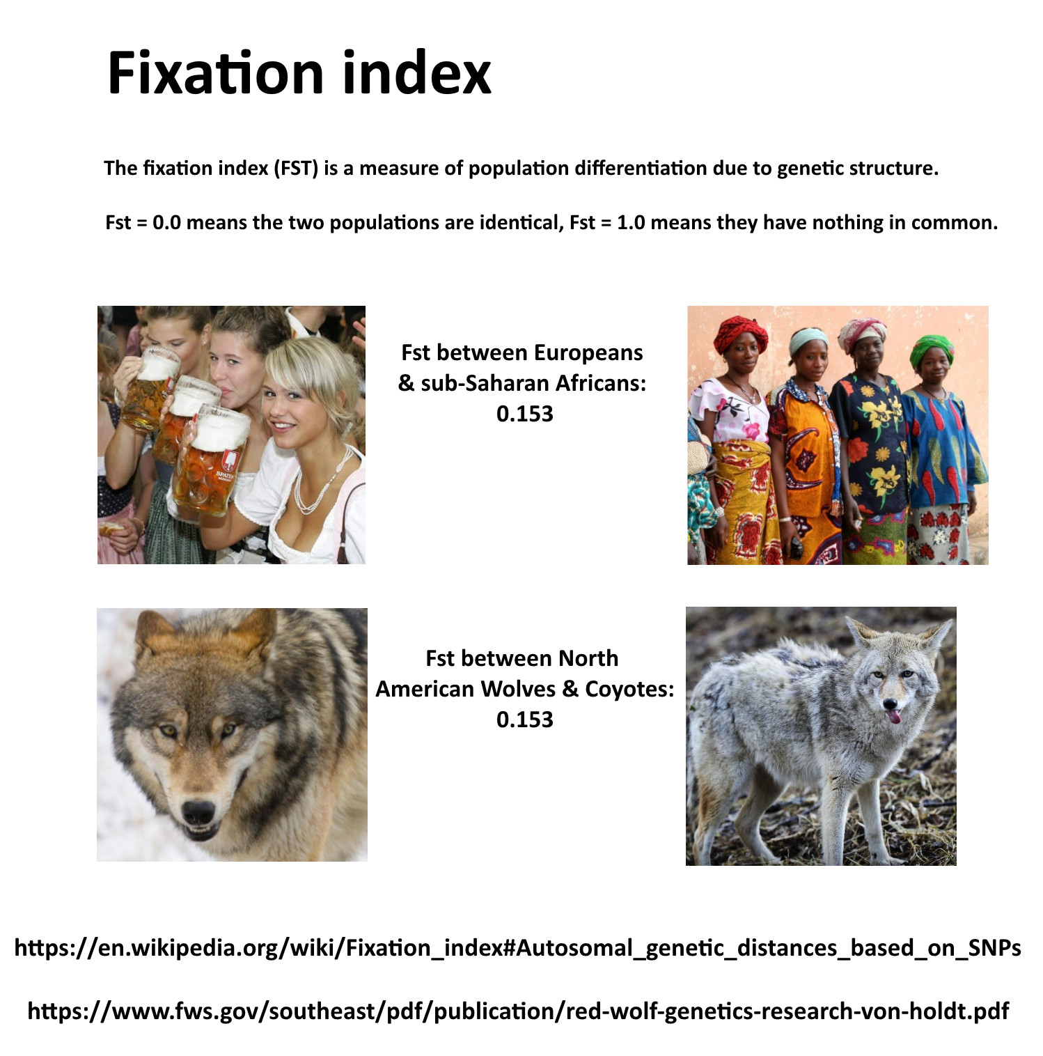 fixation index.jpg