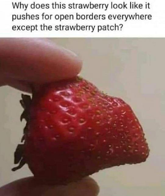 j strawberry.JPG