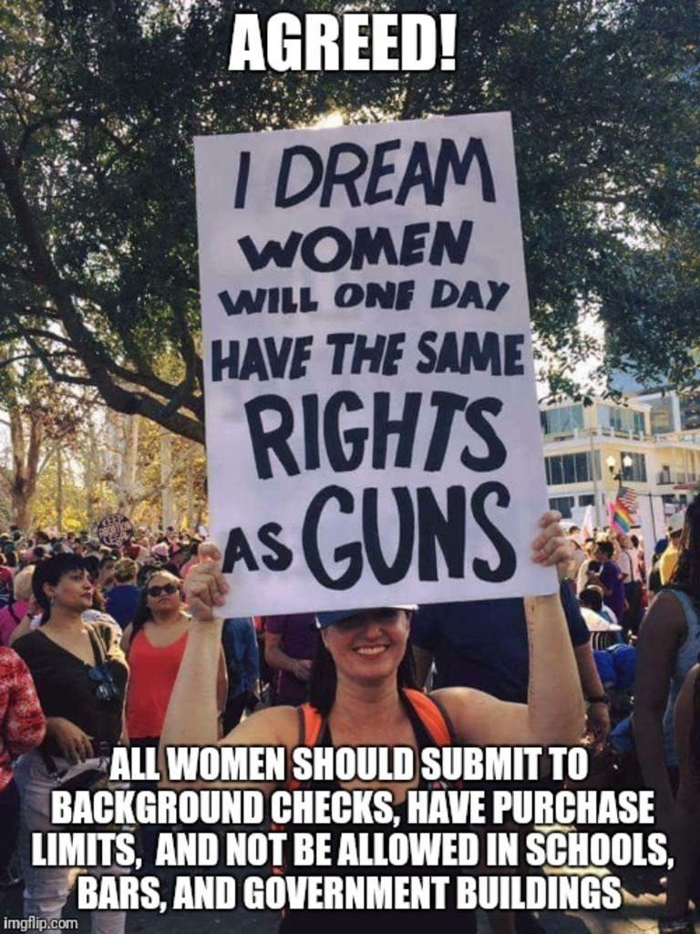 Women-Same-Rights-As-Guns.jpg