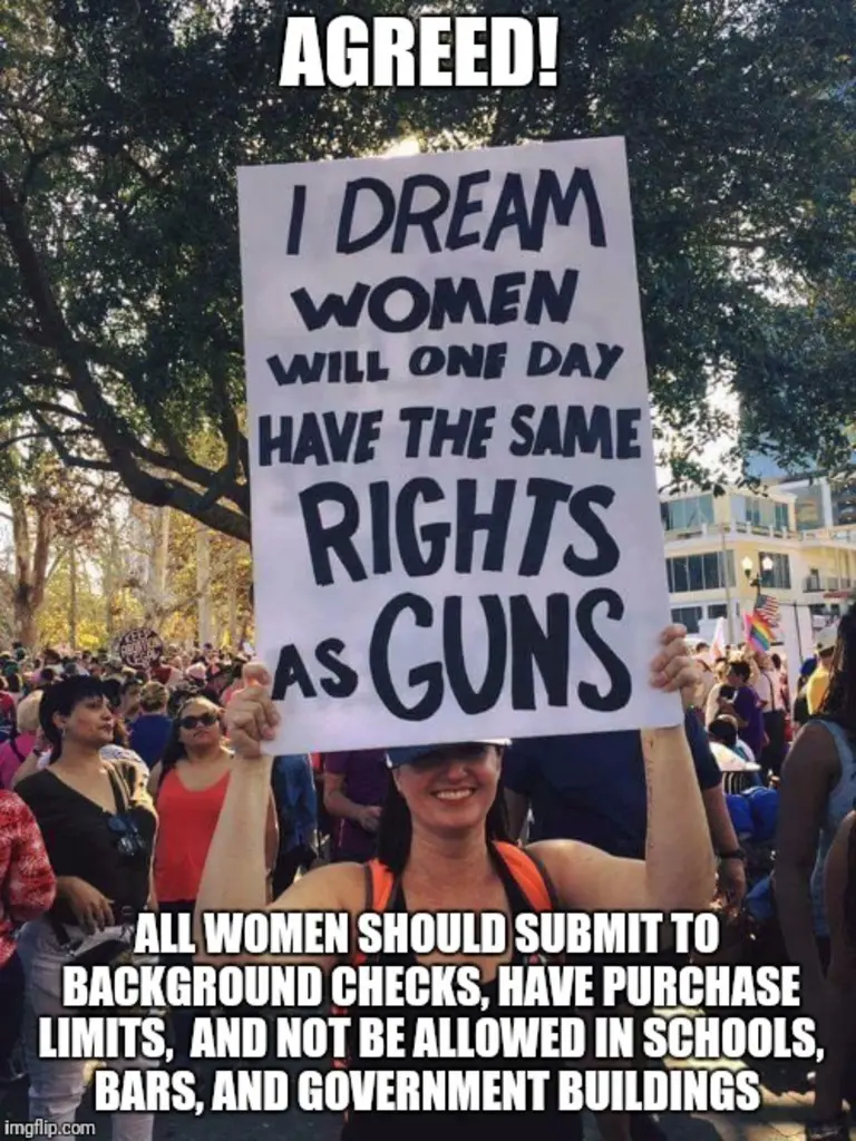 Women-Same-Rights-As-Guns.webp