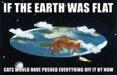 flat-earth-meme.webp