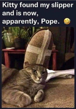 catpope.png