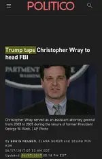 trumpmadewray.webp