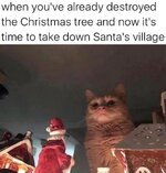 cat Christmas.jpeg