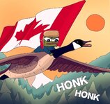 canada honk.jpg