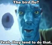 birb flu.jpg