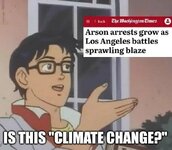 climate arson.jpg