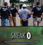 mexico sneak.jpeg