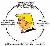 trump cycle.jpeg