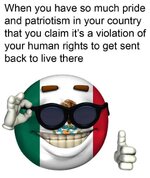 mexico pride v2.jpeg