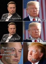 trump x elon - bromance.jpg