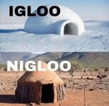 nigloo.jpeg