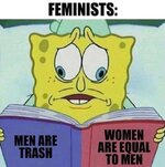 feminist logic.jpeg