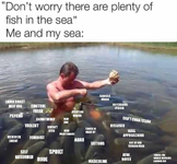 1741956631914.png
