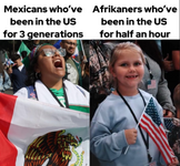 1747203452107.png