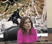 nancy mace.jpg
