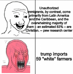1747905269692.png