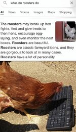rooster.jpg