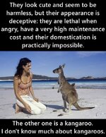 kangaroo guide.jpg