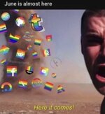 june is almost here.jpg
