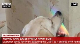 dog saves family from lgbt.jpg