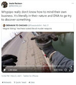 1749185634159.jpeg