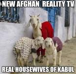 housewives of kabul.webp