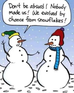 snowflake evolution.webp