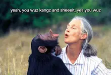 you wuz kangz.webp