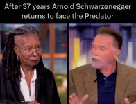 predator returns.jpg