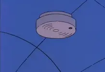 chirp.webp