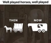 horse play.jpg