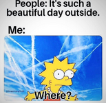 1753799894612.png