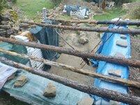 IMG_0108.jpeg