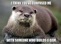 images (23).jpeg