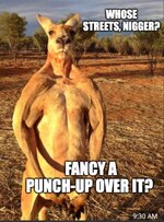 Whose steets kangaroo.jpeg