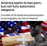 guns good - porn bad.jpg