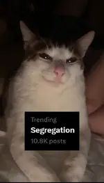 1757518263283.webp