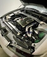 IMG_0906.jpeg