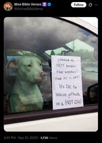 IMG_5330.jpeg