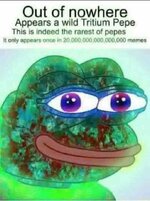 1000016719.jpg