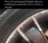 brigitte macron proof.jpg
